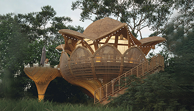 竹屋施工方式大曝光！打造绝美的竹海别墅，享有大自然之美